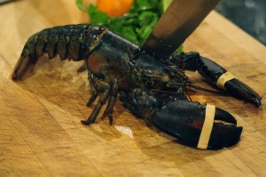 lobster_knife