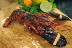 lobster_poached