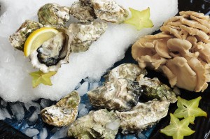 oysters w oyster mushrooms