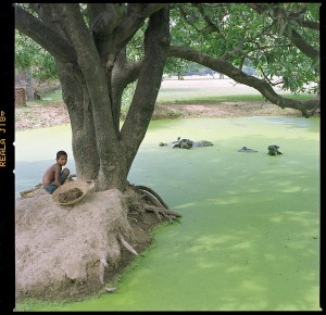 indian kid w water buffalo