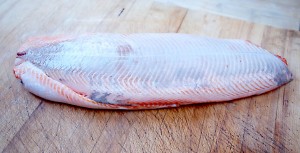 2 salmon filets, "glued" head to tail