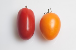 red_yellow tomatoes